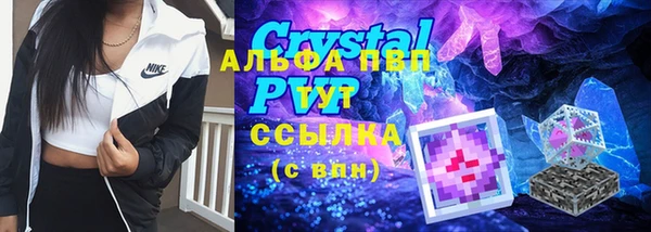 PSILOCYBIN Касимов