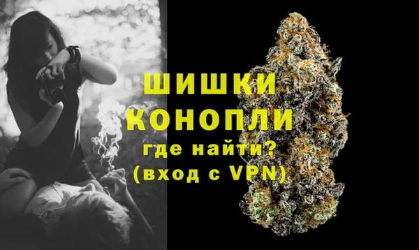 PSILOCYBIN Касимов