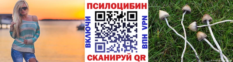 Купить где  Белореченск  Галлюциногенные грибы GOLDEN TEACHER 