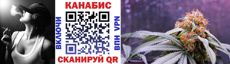 Марихуана план  Купить где  Белореченск 